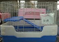 Cat Cage(R65)