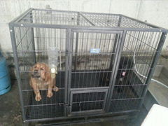 Dog cage(four foot)