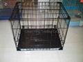 Dog Cage 3