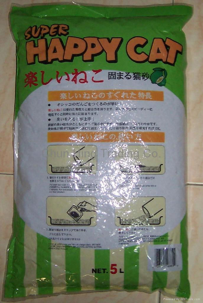 Happy Cat 4