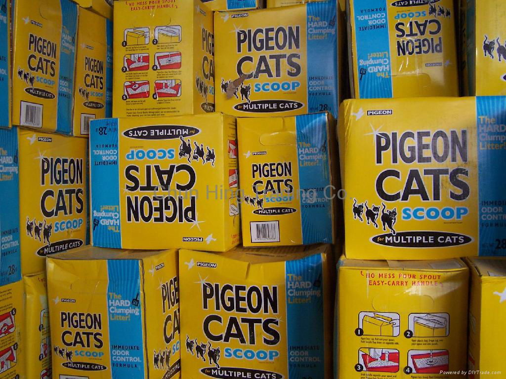 Pigeon Cats Litter 2