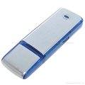 OEM Plastic USB Flash Drive,1gb to 64gb