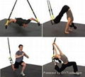 Hot Selling TRX suspention trainer and Workout DVD