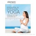 Element Prenatal & Postnatal Yoga 1 DVD