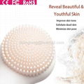 CNV Facial Brush,Face Cleansing Brush,Facial cleansing Brush,Rotating facial  