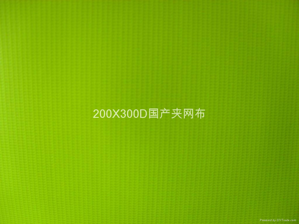 200X300D国产夹网布