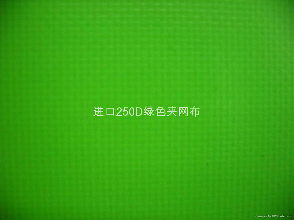 200X300D国产夹网布 5