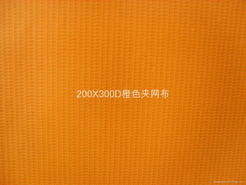 200X300D国产夹网布 4