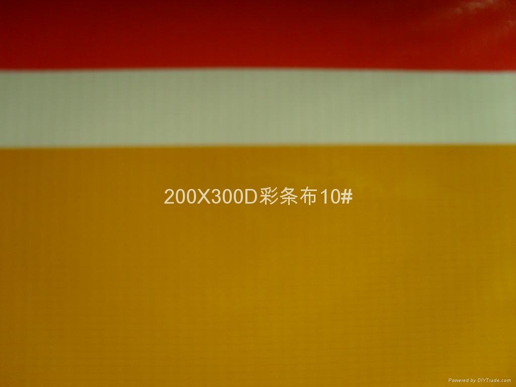 200X300D彩条帐篷夹网布