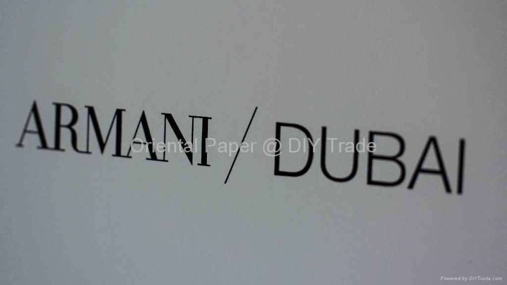 Popular Shopping Paper Bag Customized Featured Paper Bag (Hong Kong