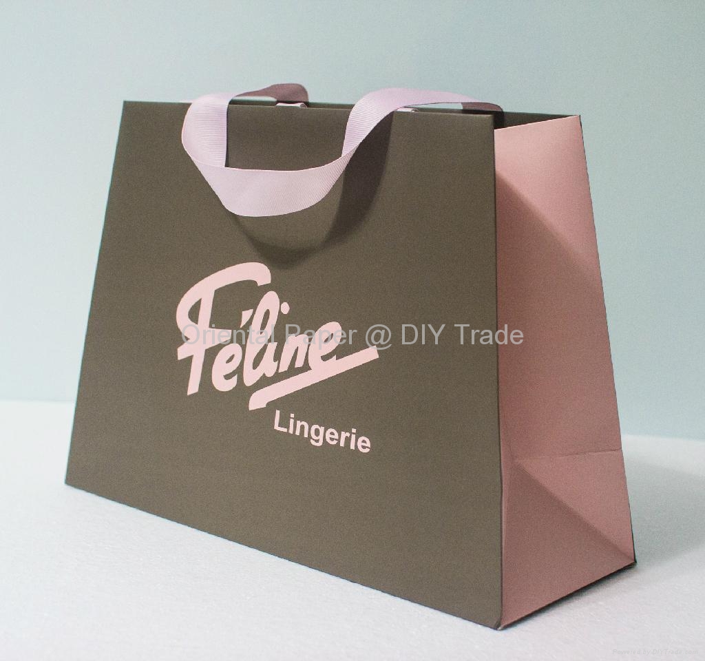 Paper Bag with Matt Lamination Gift Paper Bag (Hong Kong Manufacturer