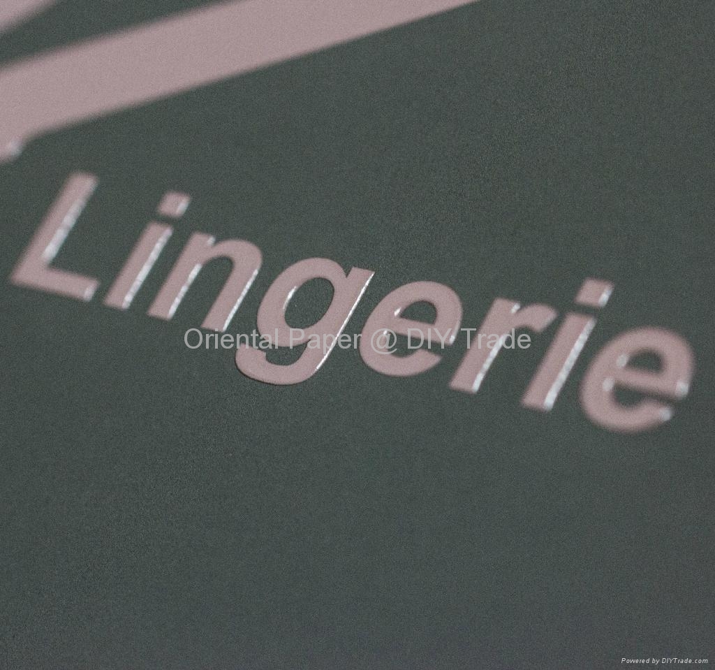 Paper Bag with Matt Lamination Gift Paper Bag (Hong Kong Manufacturer