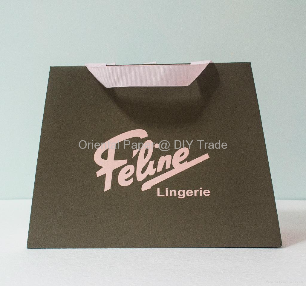 Paper Bag with Matt Lamination Gift Paper Bag (Hong Kong Manufacturer