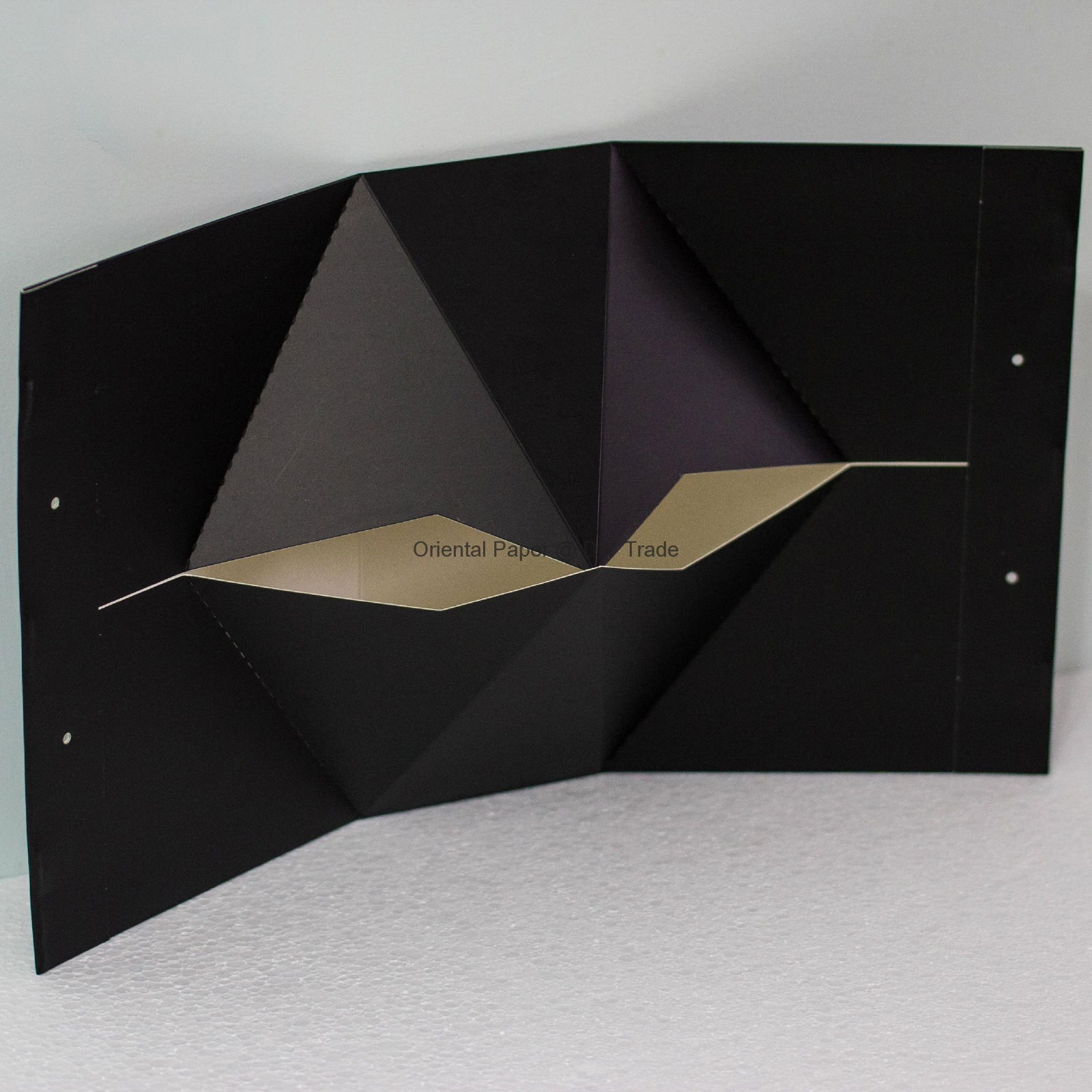 Featured & Good Quality & Foldable Paper Box for Cosmetic 4