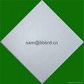 PVC Gypsum Ceiling Board 1