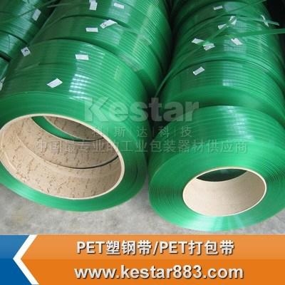 佛山科斯达供应绿色不透明pet打包带 2