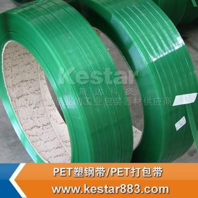 佛山科斯达供应绿色不透明pet打包带 3
