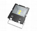 IP65  100W LED FIN Flood Light