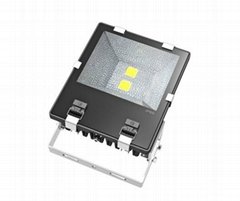 IP65  100W LED FIN Flood Light/Projection outdoor Waterproof lamp