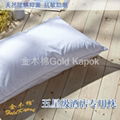 野生木棉羽絨枕  1