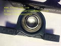 FYH UCP205 Bearing 1