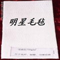  南宮市明星羊毛氈