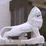 贛州石獅子  2