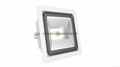 LED Petrol Station Lighting Series