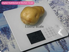 Diet and fitness kitchen food scale for