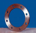 flanges 2