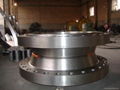 flanges 3