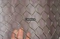 Zoo Lion Enclosure Stainless Steel Mesh