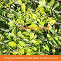   Practical Decorative Stainless Steel Cable Fence 13