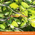   Practical Decorative Stainless Steel Cable Fence 14