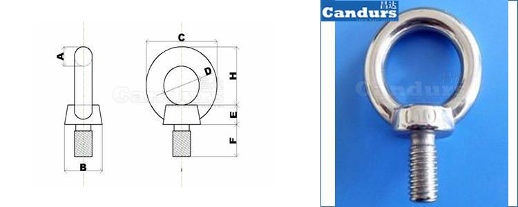  DIN 580 AISI 316 Stainless Steel Eye Bolt