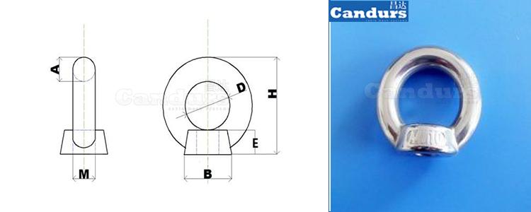 DIN 582 Stainless Steel Eye Nut