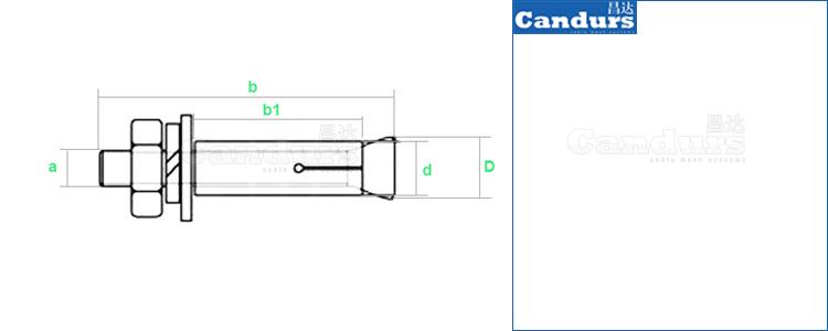  Expansion Anchor Bolt