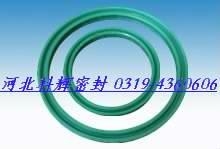 國標非標V型密封圈