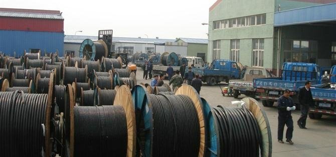 YJV国标电力电缆上海起帆厂家直销工程价 3