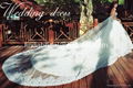 A-line Lace Wedding Dresses Rhinestones Luxury Wedding Gowns  2