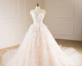 Sleeveless V-neck Bridal Dresses Lace Tulle Champagne Custom Wedding Gown E229 1