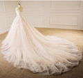 Sleeveless V-neck Bridal Dresses Lace Tulle Champagne Custom Wedding Gown E229