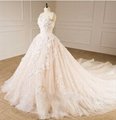 Sleeveless V-neck Bridal Dresses Lace Tulle Champagne Custom Wedding Gown E229 3