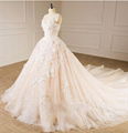 Sleeveless V-neck Bridal Dresses Lace Tulle Champagne Custom Wedding Gown E229