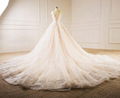 Sleeveless V-neck Bridal Dresses Lace Tulle Champagne Custom Wedding Gown E229 4