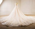Sleeveless V-neck Bridal Dresses Lace Tulle Champagne Custom Wedding Gown E229