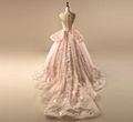 Pink Wedding Ball Gown Tulle Beaded Sheer 3D Flower Bridal Wedding Gowns WH8