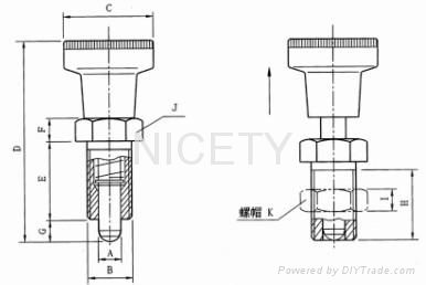 德國GANTER進口分度銷，GN617/GN617.1 4