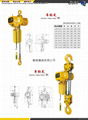 Electric chain crane