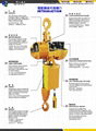 ELECTRIC CHAIN HOIST 1